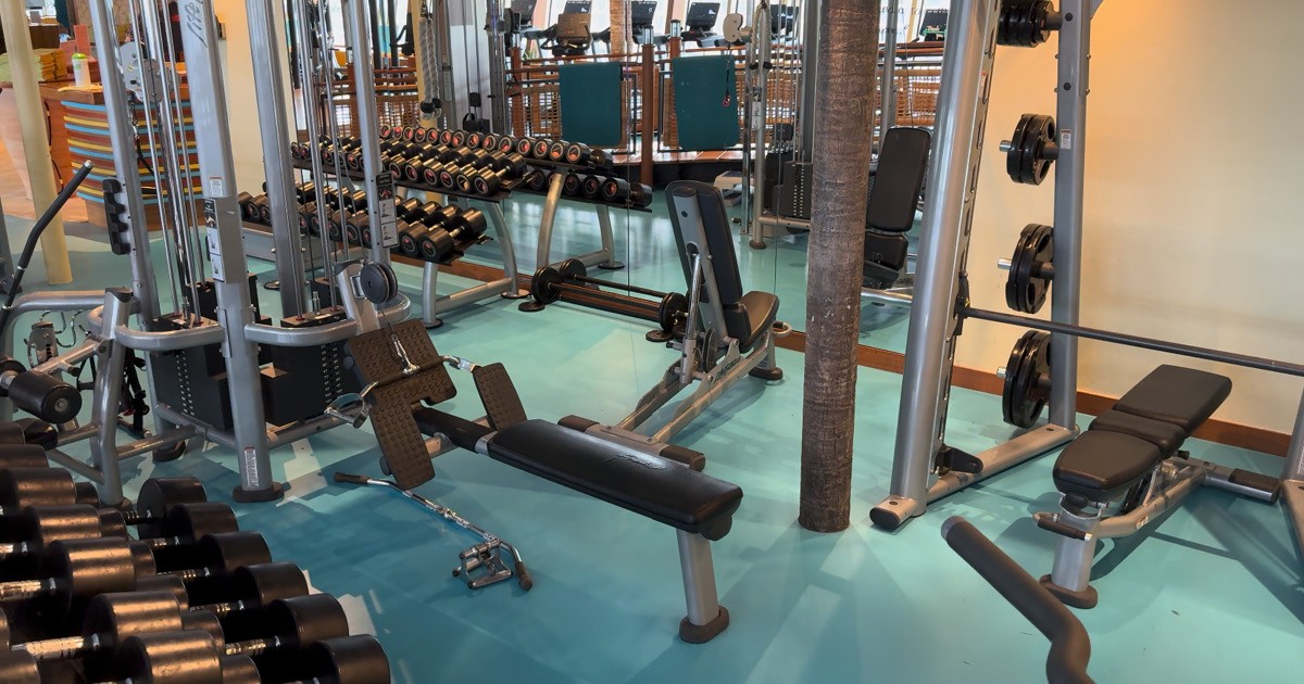 Muskelaufbautraining Bild