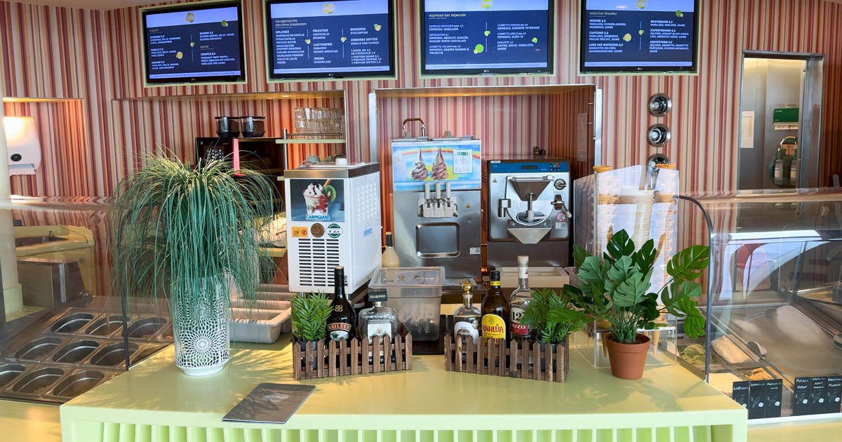 Eisbar Bild