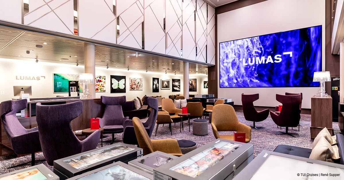 Galerie Bild